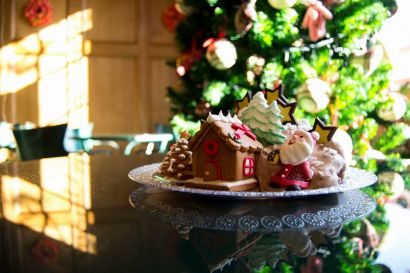 Auguri per un felicissimo Natale da Ciro&amp;Pio!