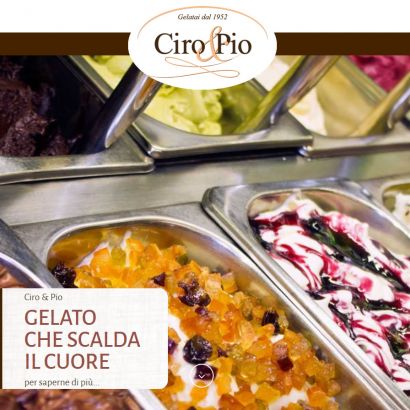 On-line the new website