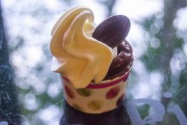 Grande soddisfazione in piccolo formato!